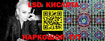 меф Кингисепп