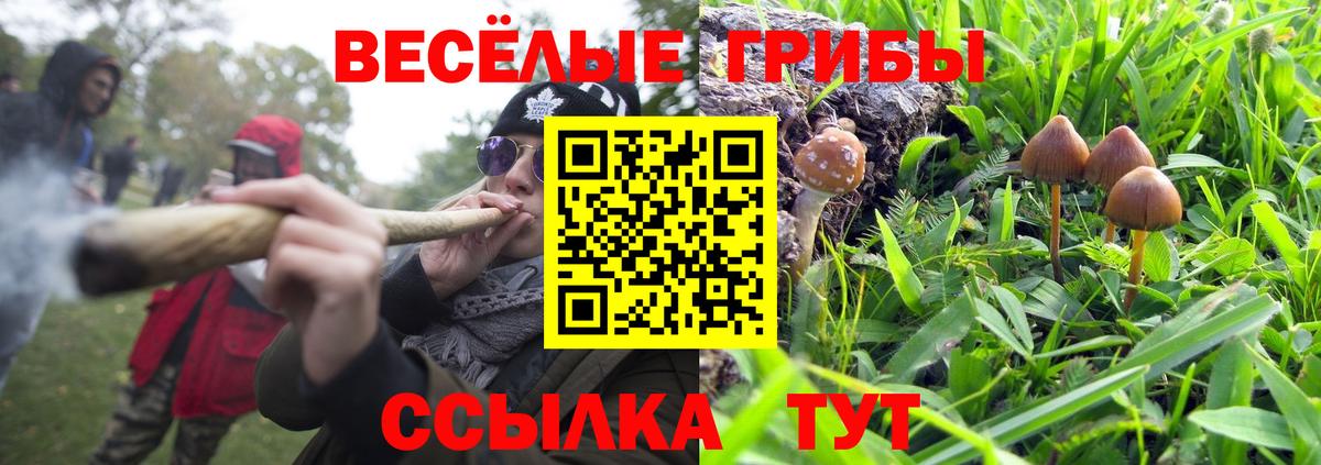 Псилоцибиновые грибы Cubensis  Псилоцибиновые грибы MAGIC MUSHROOMS  Кузнецк  Вход с VPN 